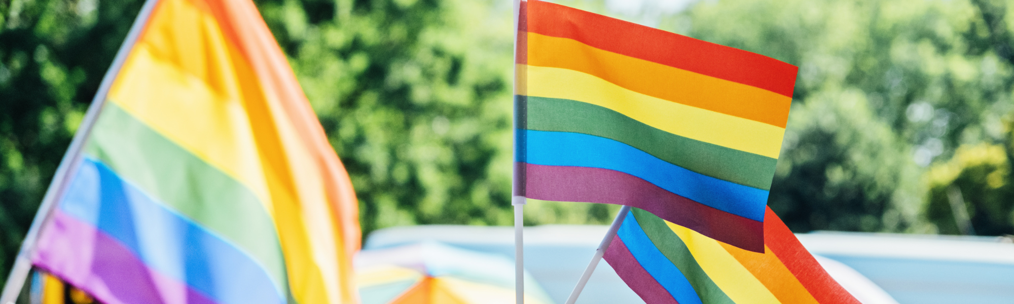 Dana Behavioral Health - Pride Month: Celebrating LGBTQ+ Rights and ...